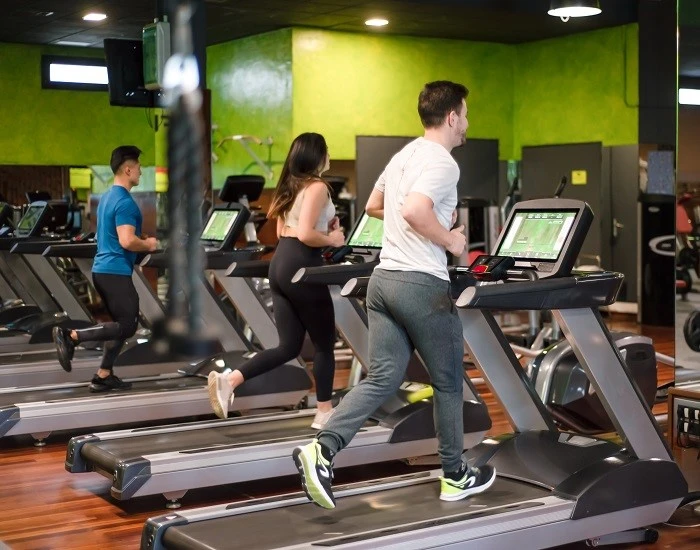 Dezhou Xinzhen Fitness Hpung,Ltd.
